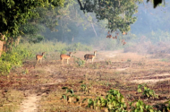 उत्तराखंडः लगातार बारिश के चलते सैलानियों के लिए 31 अगस्त तक फाटो जोन बंद